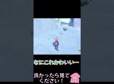 とある雪山の出来事