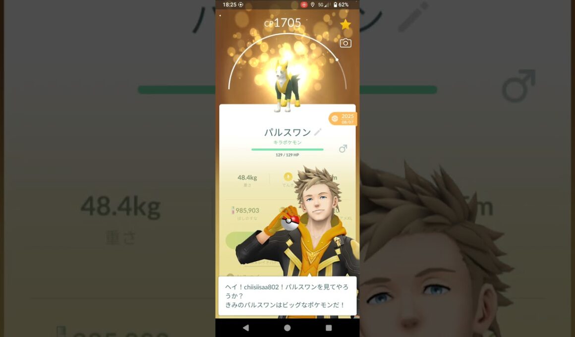 ポケモンGO　パルスワン