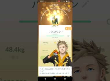 ポケモンGO　パルスワン