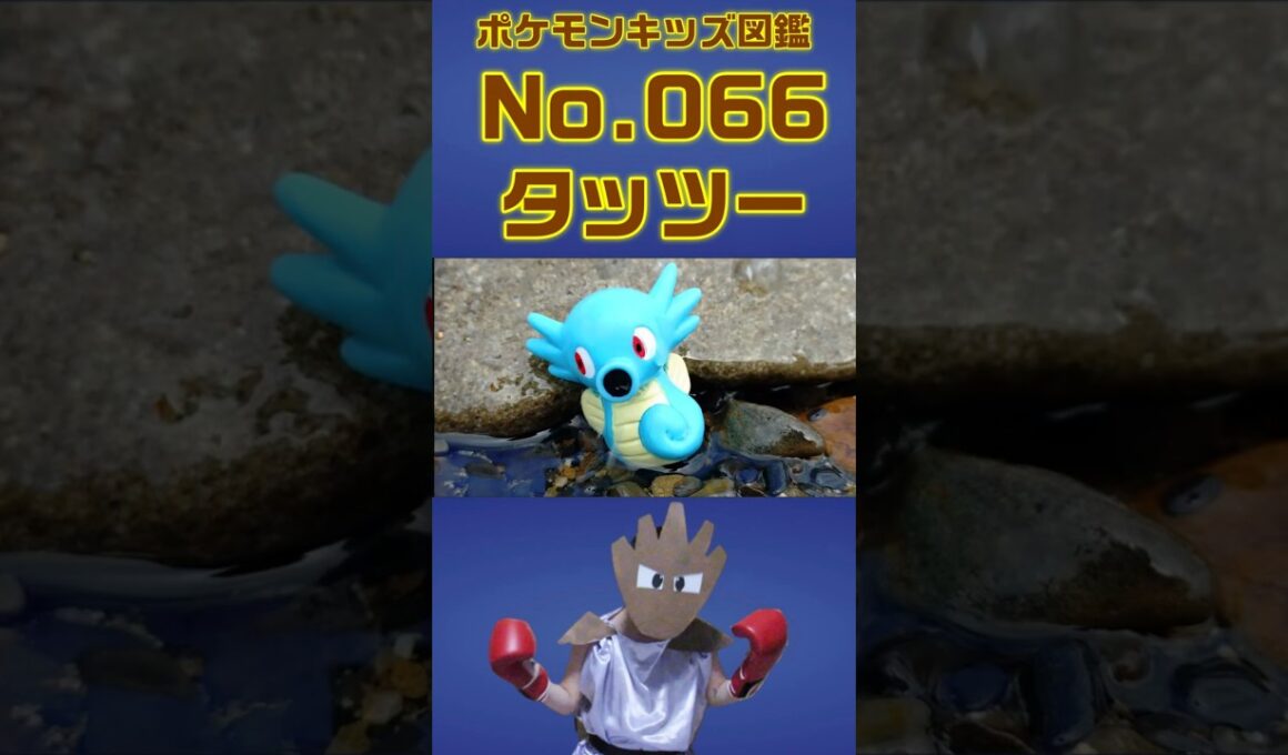 ポケモン実体図鑑No 066タッツー #ポケモンキッズ#タッツー