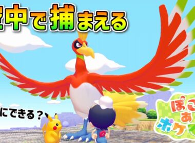 【ぽこあポケモン】空飛ぶホウオウを無理やり捕まえられるのか？！サッと檻で囲っちゃえばいけるんちゃう？※ポケモンバトル付き