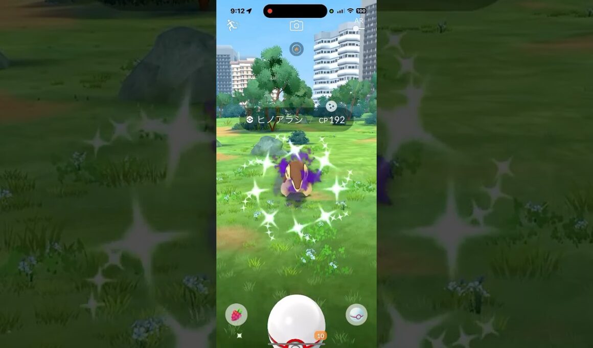 Cyndaquil shadow shiny caught! #pokemongo #ポケモンgo #ヒノアラシ