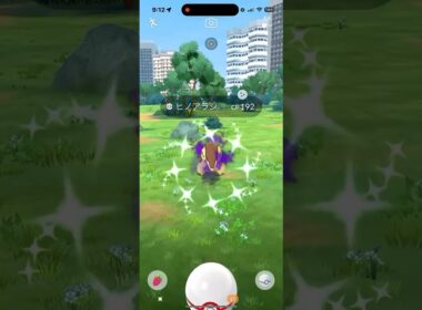 Cyndaquil shadow shiny caught! #pokemongo #ポケモンgo #ヒノアラシ