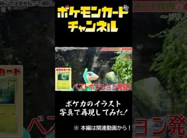 【#切り抜き】クチート竹内のポケカ旅 ～ジャノビー編～【#ぬい撮り/#ポケカ】