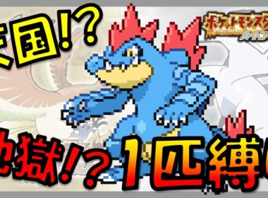 【ハートゴールド】ワニノコLv1からジョウト地方を旅したら想像いじょの強さを発揮した!!