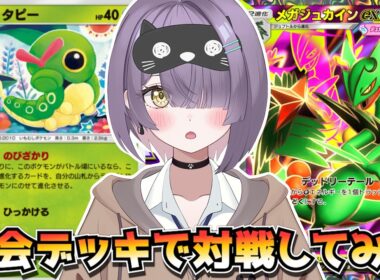 【ポケポケ】新キャタピー×メガジュカイン構築！｜240人大会で使用されたデッキで対戦してみた！