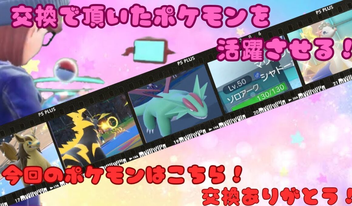 頂いたポケモンを活躍させる！ （ゼブライカ グラエナ ボーマンダ ゾロアーク アシレーヌ編）