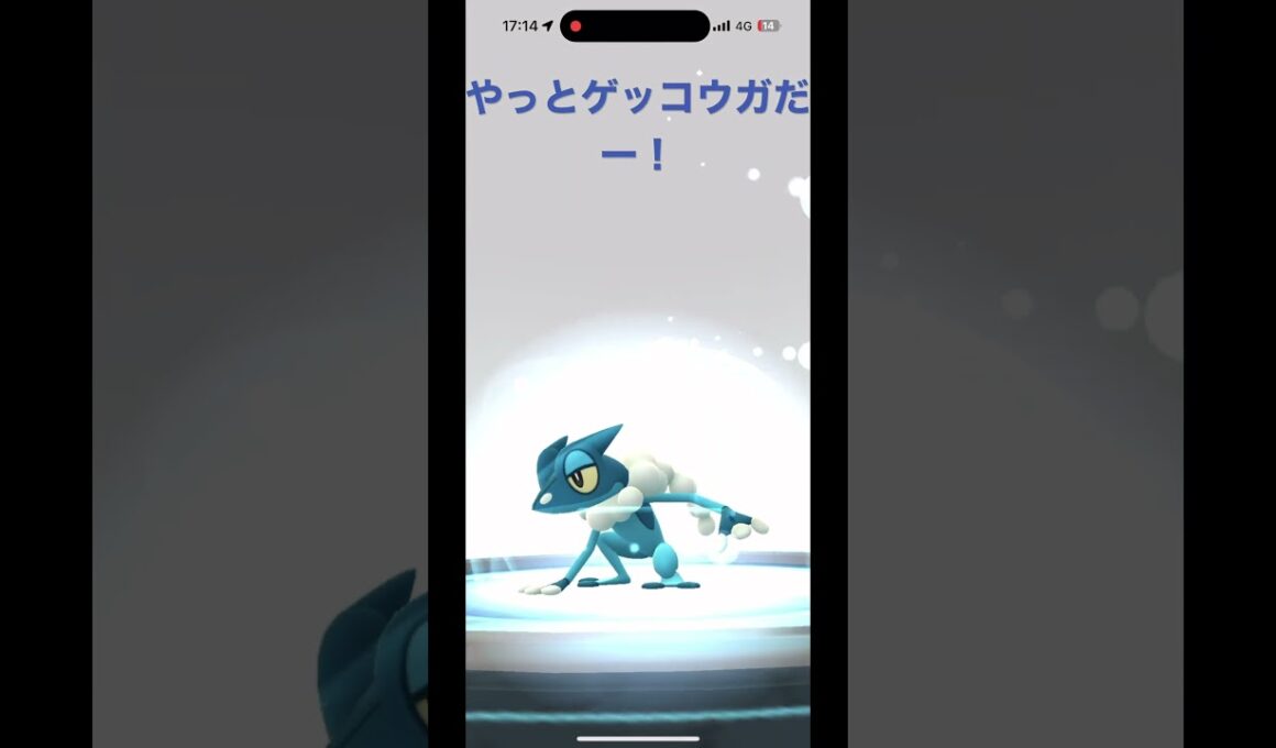【ポケモンGO】ようやくゲッコウガに進化！！【ゲッコウガ/ポケモンGO】