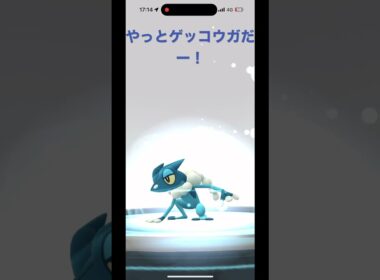 【ポケモンGO】ようやくゲッコウガに進化！！【ゲッコウガ/ポケモンGO】