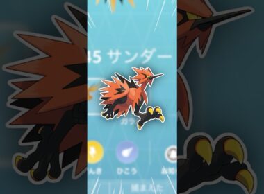 ガラルサンダー、どこにいるんだ！【ポケモンGO】