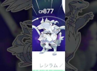 シャドウレシラム、もっかい！【ポケモンGO】