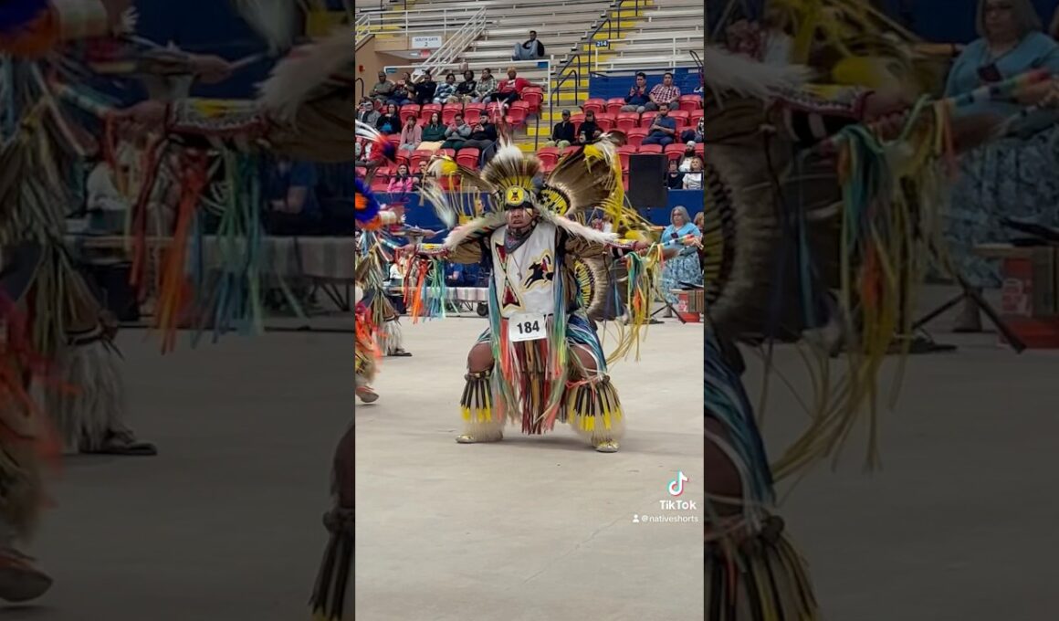Men’s Fancy - Austin Powwow 2024 #indigenous #native #powwow #ytshorts #youtubeshorts #youtube #fyp