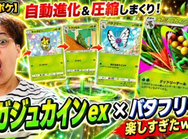 【ポケポケ】自動進化＆圧縮しまくり！「メガジュカインex×バタフリー」デッキが楽しすぎたwww