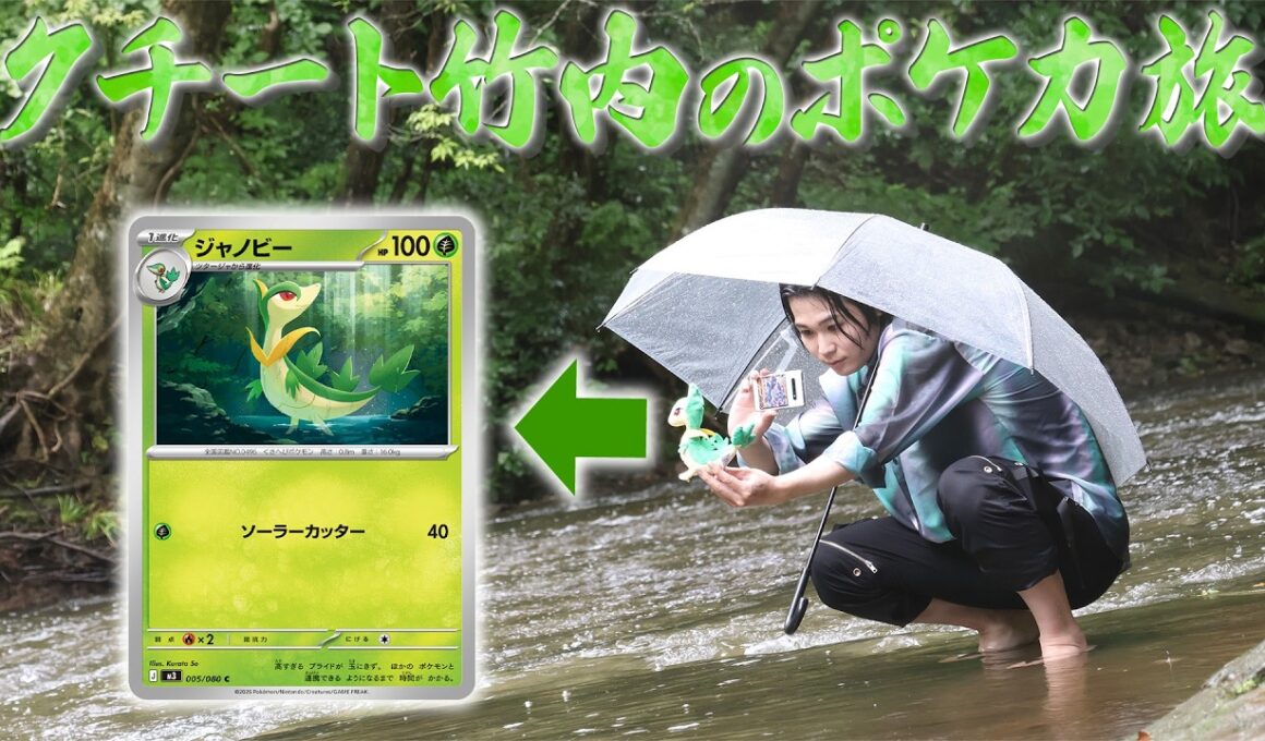 クチート竹内のポケカ旅～ジャノビー編～【ぬい撮り/ポケモンカード】