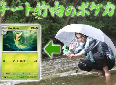 クチート竹内のポケカ旅～ジャノビー編～【ぬい撮り/ポケモンカード】