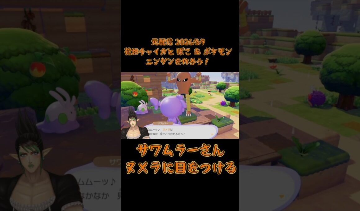 サワムラーさんヌメラに目をつける《花畑チャイカ/にじさんじ》#shorts #にじさんじ #切り抜き #ぽこあポケモン #花畑チャイカ #チャイカデラックス #切り抜き #サワムラー #ヌメラ