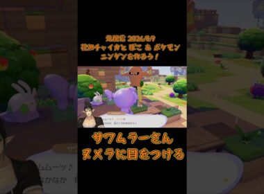 サワムラーさんヌメラに目をつける《花畑チャイカ/にじさんじ》#shorts #にじさんじ #切り抜き #ぽこあポケモン #花畑チャイカ #チャイカデラックス #切り抜き #サワムラー #ヌメラ