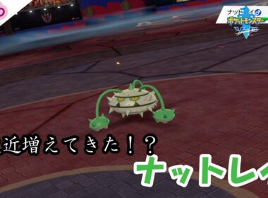 ナットレイが増えてきて辛いですわ。【ポケモン剣盾対戦毎日実況＃398】【Pokémon Sword and Shield】