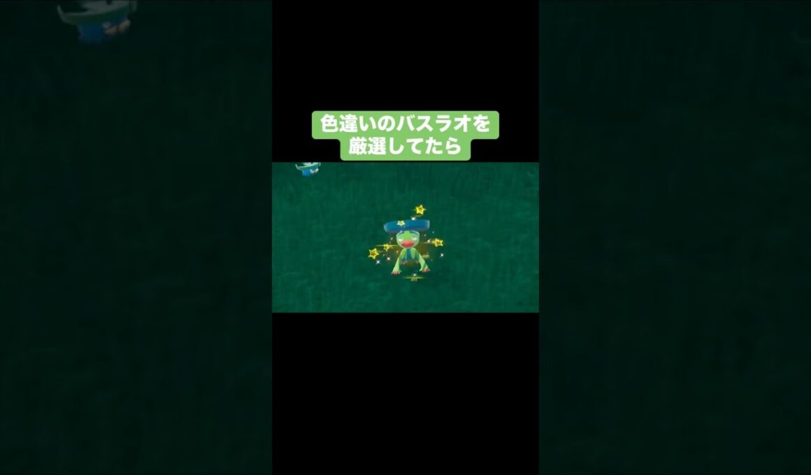 色違いのバスラオを厳選してたら…【ポケモンSV】