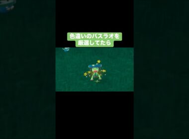 色違いのバスラオを厳選してたら…【ポケモンSV】