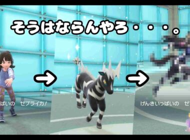 【ポケモンSVランクマ実況】新年あけましておめでとうございます。「ゼブライカ」でポケモンSVとプリティーダービーを無理やりねじ込んでみた。