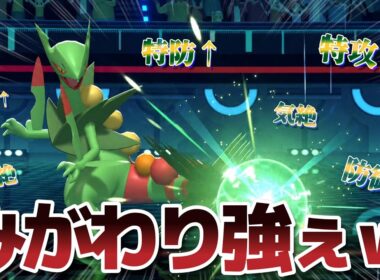 確実にみがわりか耐久力を手に入れる戦術で「メガジュカイン」を暴れさせてみたｗｗ【Pokémon Champions】