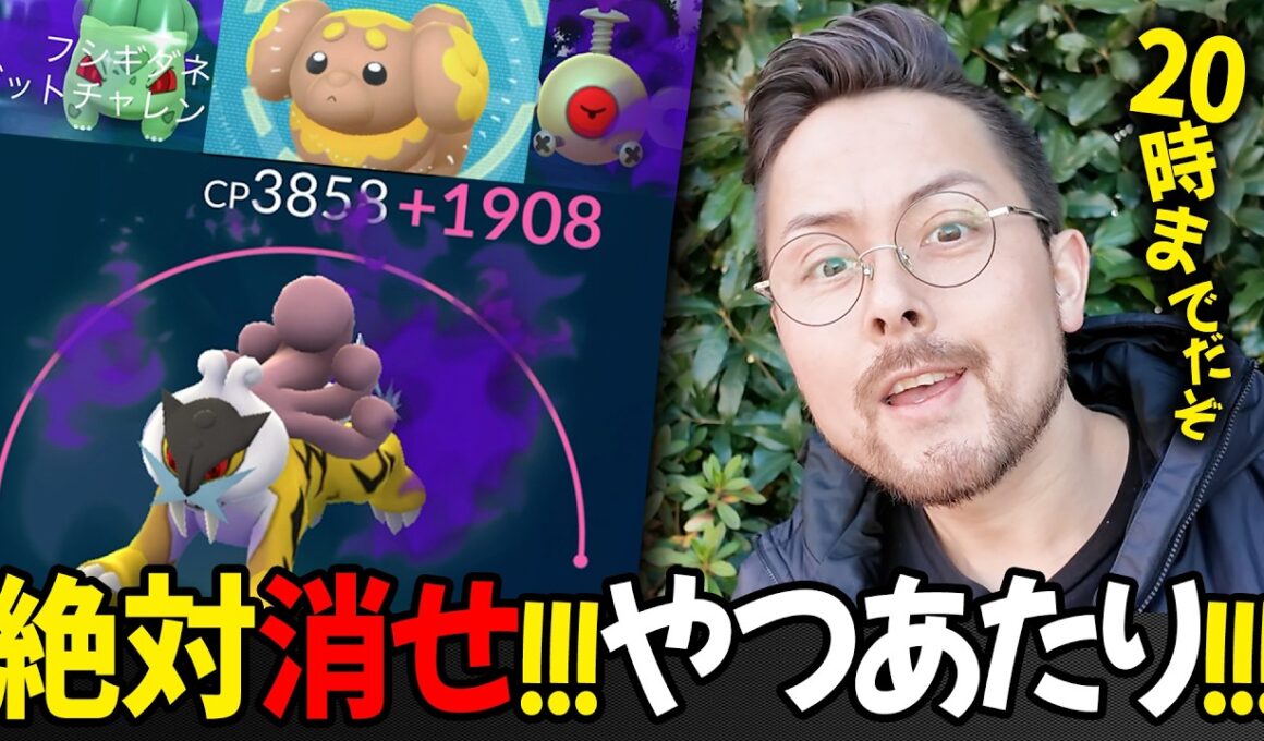 色シャドウきたきた！！シャドウライコウMAX強化！強いしイイ感じだけど…？？やつあたり20時までに消し忘れずに！！！【ポケモンGO】