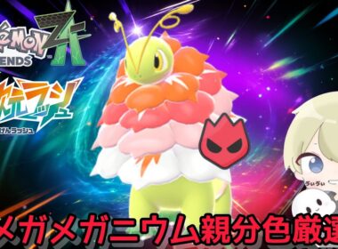 【色違い厳選】親分メガメガニウムを使いたい。色違いチコリータ厳選配信 #ポケモン #ポケモンチャンピオンズ #pokemon #ポケモンza #shorts