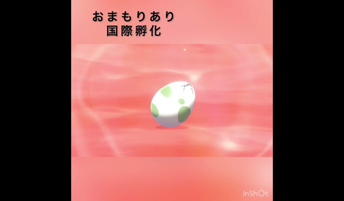 剣盾ゾロア色違い厳選　#pokemon #色違い #swordshield #剣盾 #孵化　#shorts