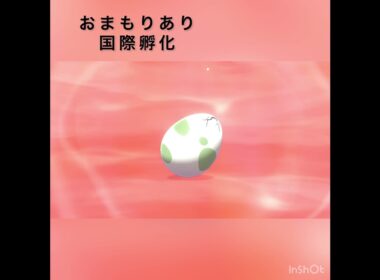 剣盾ゾロア色違い厳選　#pokemon #色違い #swordshield #剣盾 #孵化　#shorts