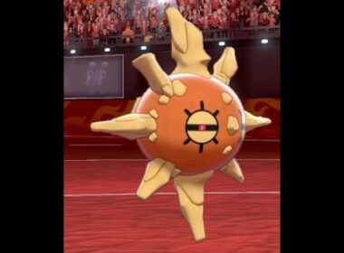 バトンタッチ習得がソルロックにとって追い風となる。【ポケモン剣盾】