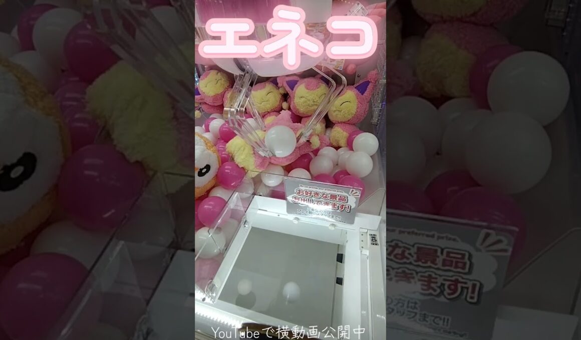 #クレーンゲーム #攻略 #ポケモン #ポケモン30周年 #エネコ