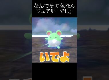 色違いのマリルリが思ってた色と違う