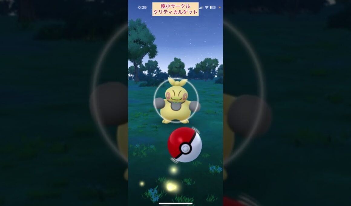 【難易度低・低】クズモー・マクノシタ極小サークルクリティカルゲット【ポケモンGO】