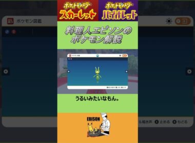 エビソンのポケモン解説　#ポケモン #ポケモンsv #スカーレットバイオレット #ハハコモリ