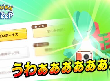 【ポケモンスリープ】色違い神個体おてきのキモリ！？！？！？！？