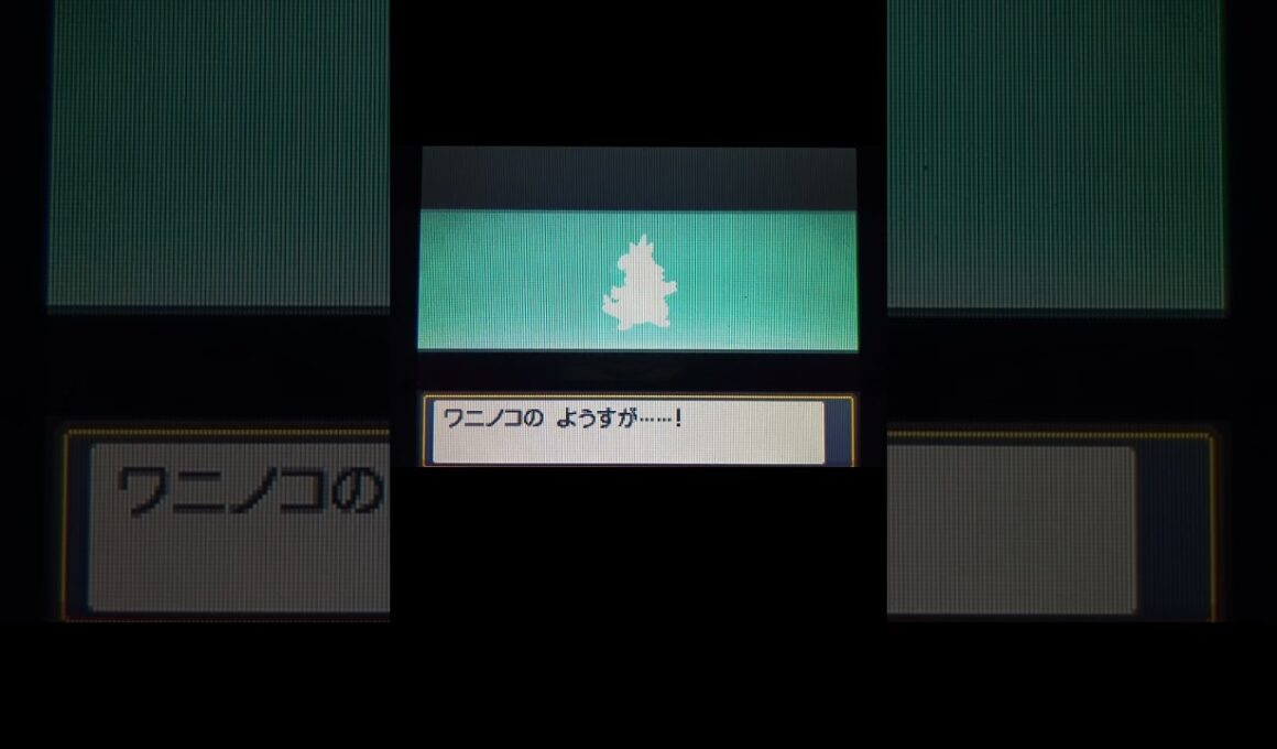 ポケモンソウルシルバーで色違いアリゲイツに進化　#shorts #ポケモンhgss