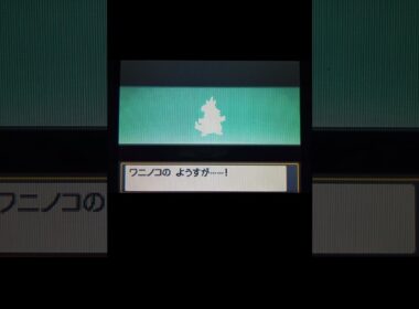 ポケモンソウルシルバーで色違いアリゲイツに進化　#shorts #ポケモンhgss