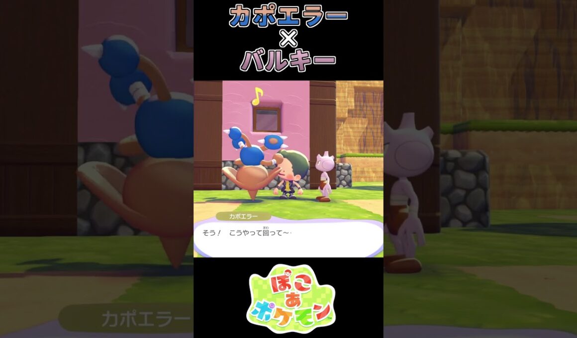 【ぽこあポケモン】悩んだ結果が回転だったカポエラー 【ポケモン】