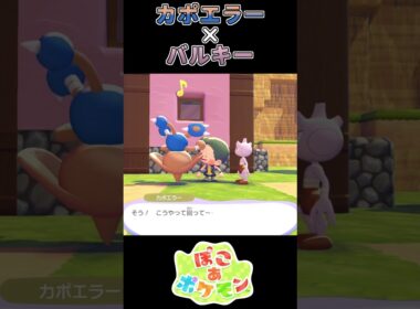 【ぽこあポケモン】悩んだ結果が回転だったカポエラー 【ポケモン】