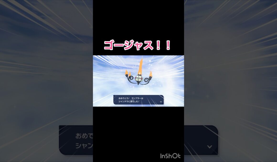 オヤブン色違いヒトモシが可愛い😍　【Pokémon LEGENDS Z-A/ポケモンレジェンズZA】