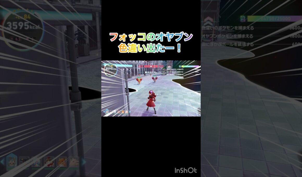 フォッコのオヤブン色違いを異次元に入って即発見💡　　【Pokémon LEGENDS Z-A/ポケモンレジェンズZA】