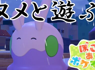 【ぽこ あ ポケモン】ぽこあポケモンでヌメラと遊びまくる！【Switch2】【ポケモン】#14