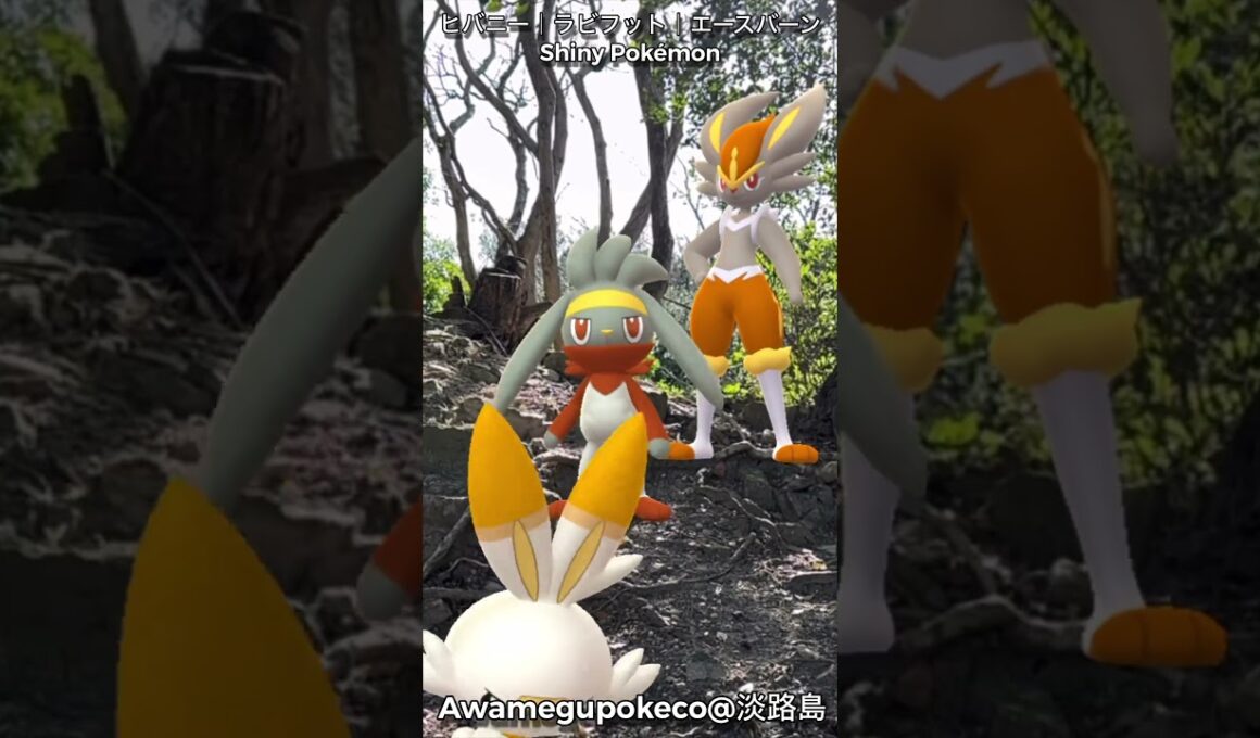 ヒバニー｜Scorbunny｜ラビフット｜Raboot｜エースバーン｜Cinderace｜ShinyPokémon【ポケモンGO】PoKeMoN GO AR｜AR動画｜GOsnapshot