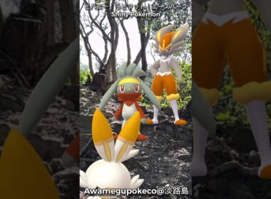 ヒバニー｜Scorbunny｜ラビフット｜Raboot｜エースバーン｜Cinderace｜ShinyPokémon【ポケモンGO】PoKeMoN GO AR｜AR動画｜GOsnapshot