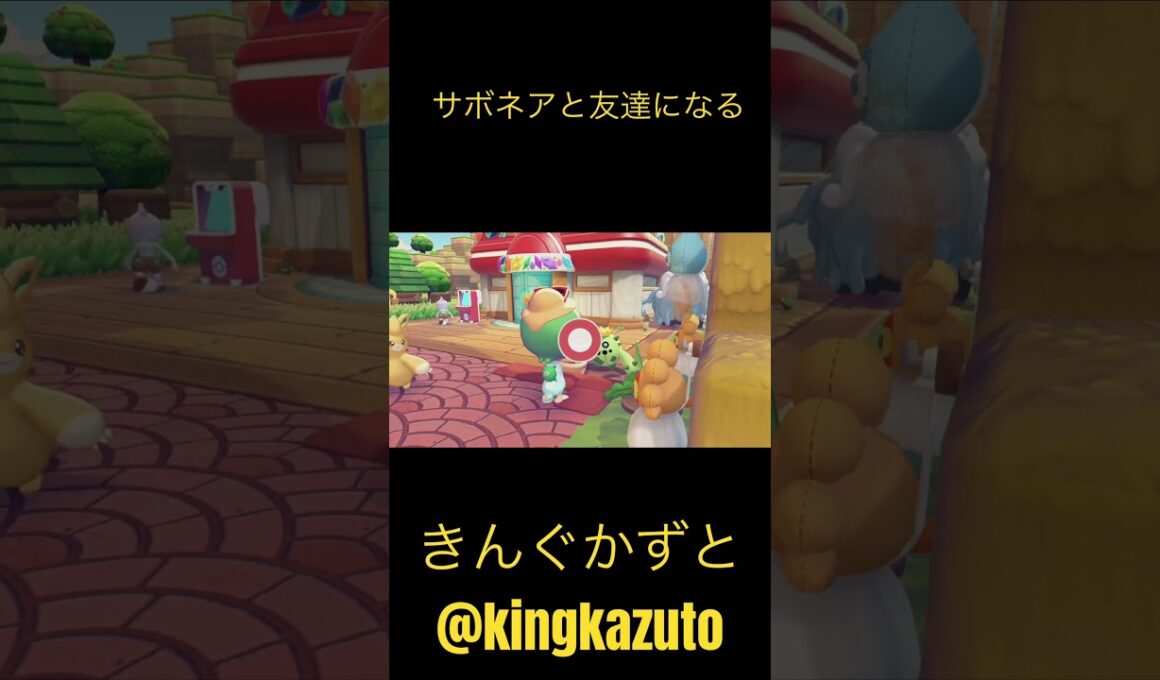 ぽこあポケモン　9歳サボネアと友達になる　ポケモングッズ　ポケモンカード　ポケポケ　Pokemon きんぐかずと　@kingkazuto