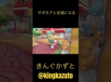 ぽこあポケモン　9歳サボネアと友達になる　ポケモングッズ　ポケモンカード　ポケポケ　Pokemon きんぐかずと　@kingkazuto