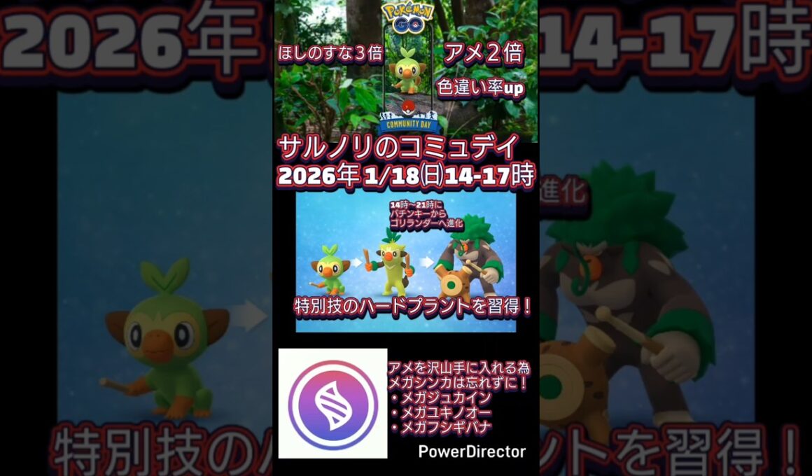 サルノリのコミュデイが初開催！ほしのすな３倍、アメ２倍、色違い率up、メガシンカを忘れずに #ポケモンgo #サルノリ #コミュデイ #色違い #shorts