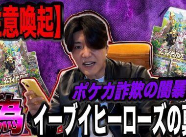 【注意喚起】ポケカ詐欺暴き！偽イーブイヒーローズBOX