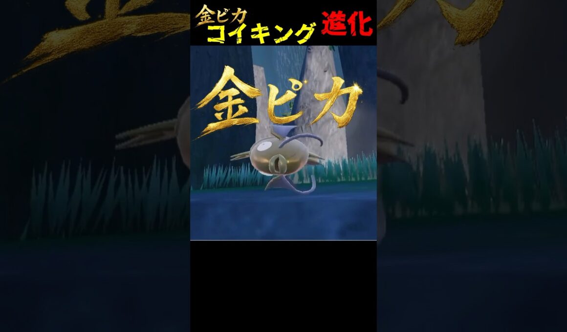 金ピカのコイキングを進化させたらエビになったw【ポケモンSV】